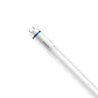 Philips Master Tubo LED T8 (EM/Mains) High Output T8 11.3W 2000lm - 830 Luce Calda -  | 120cm - Sostitutiva 36W